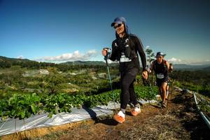 BIB: 
                            <button type="button" onclick="openModal(19123047)" class="btn btn-primary btn-sm float-right btn-popup" data-toggle="modal" data-target=".modal-high-quality">
                        <i class="fas fa-shopping-cart"></i> Add to Cart
                    </button>
                                            <button type="button" onclick="isThisMe(19123047, true)" class="btn btn-success btn-sm float-right btn-popup btn-isme hidden" data-toggle="tooltip" data-placement="bottom" title="นี่คือรูปของคุณใช่ไหม คลิกที่นี่เพื่อเอาเข้าอัลบั้ม">
                        <i class="fas fa-plus"></i> Add to album
                    </button>
                    <button type="button" onclick="isThisMe(19123047, false)" class="btn btn-warning btn-sm float-right btn-popup btn-isnotme hidden">
                        <i class="fas fa-ban"></i> Remove from album
                    </button>